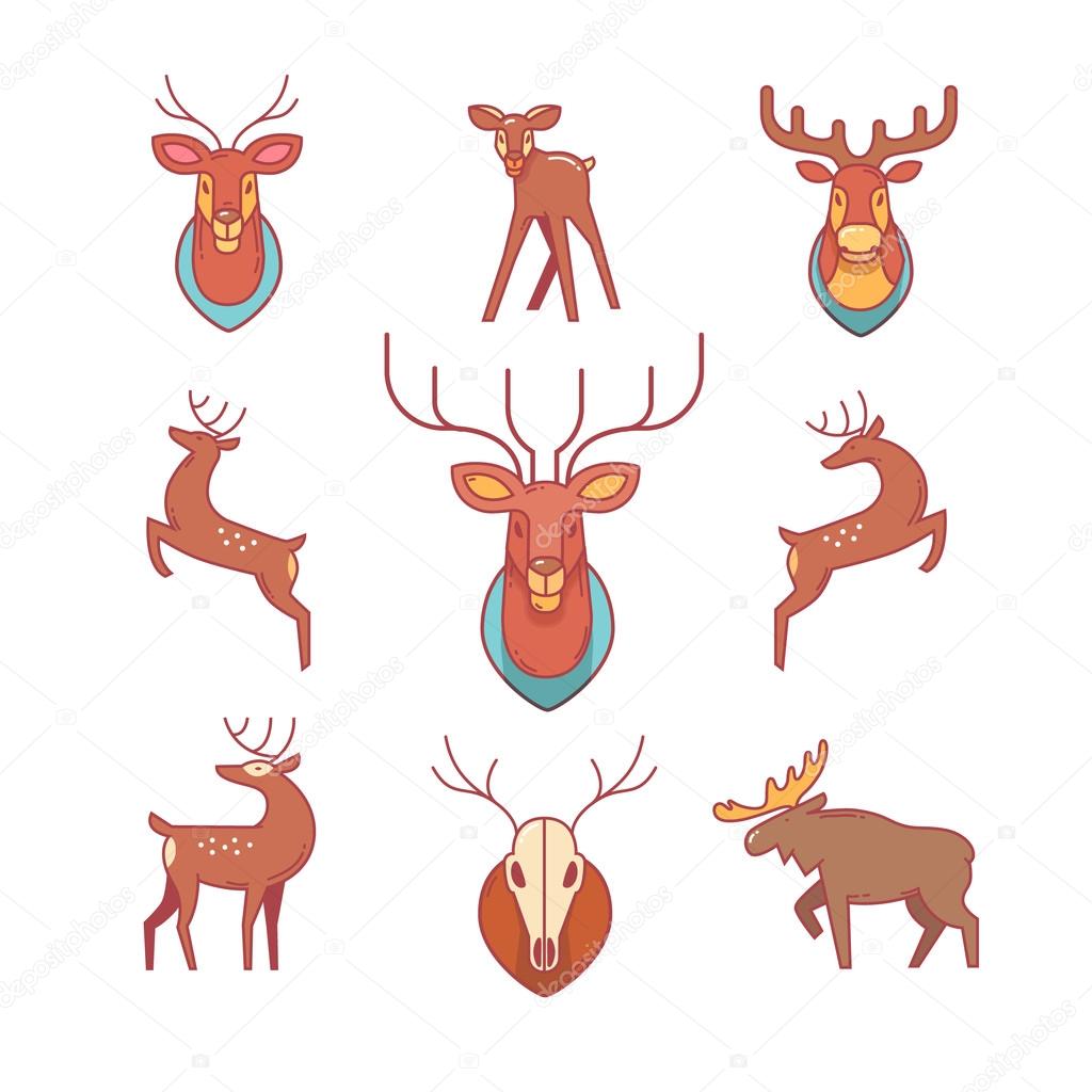 Deers, moose, antlers and horns, stuffed deer head