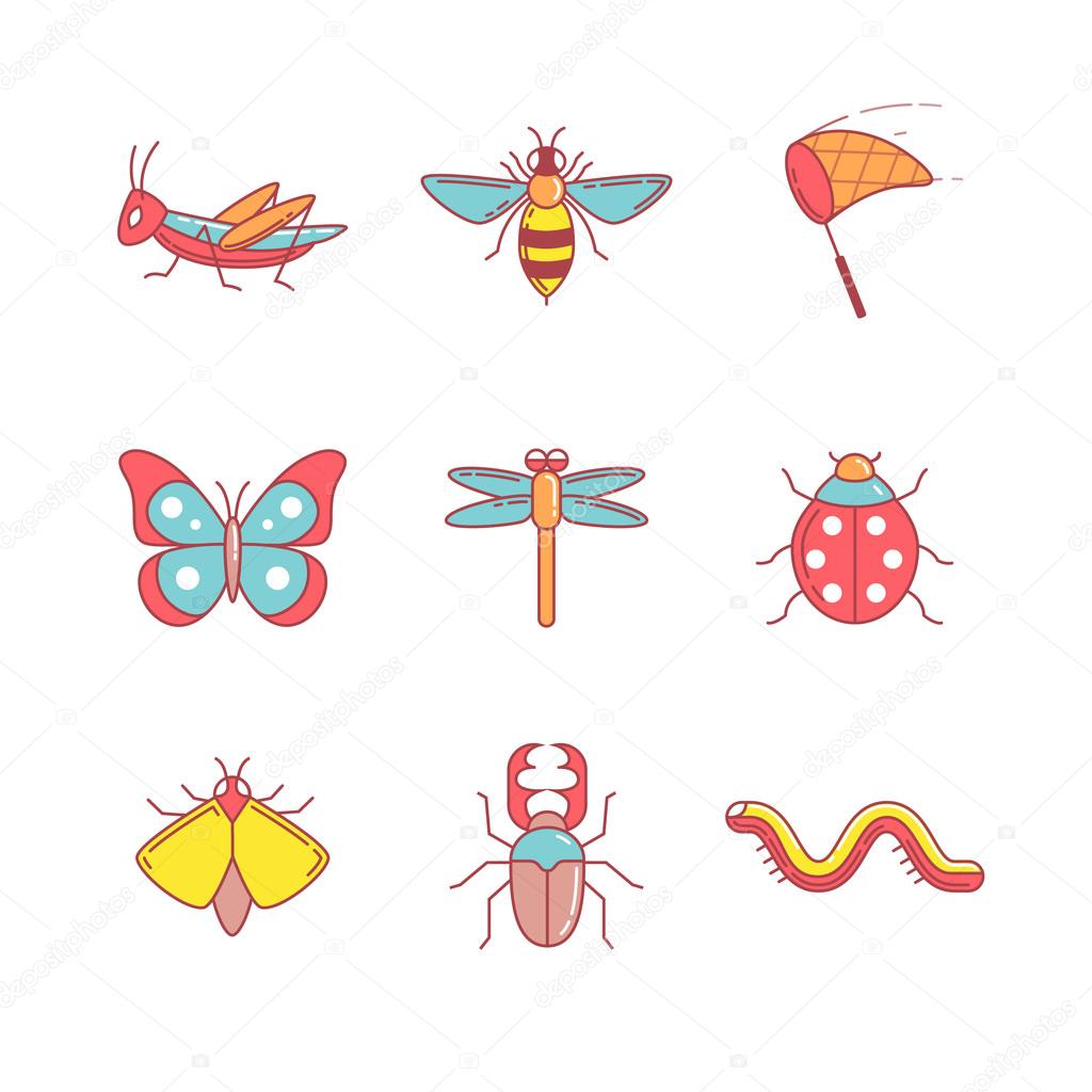 Insects thin line icons set