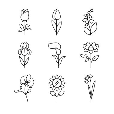 Popular wedding flowers blossoming.