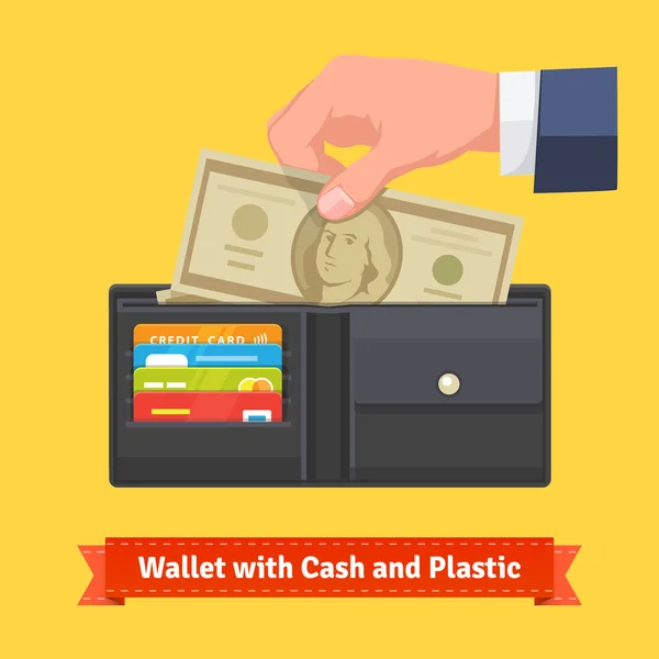 Geldbörse mit ein paar Dollars und Kreditkarten — Stockvektor