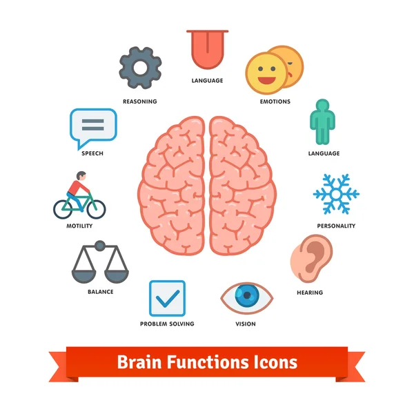 Hersenen functie icons set — Stockvector