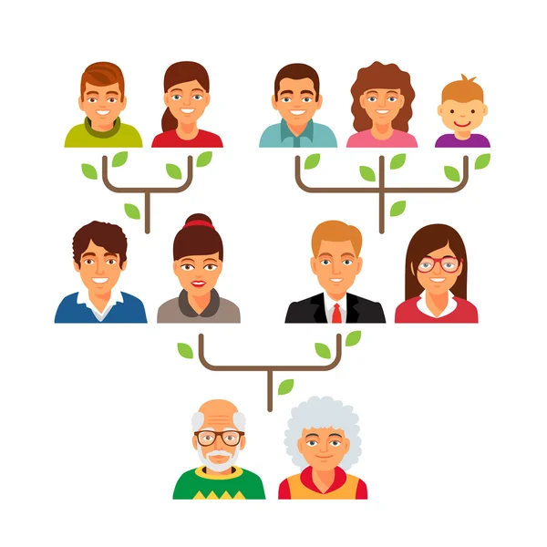 Genealogía familiar árbol diagrama gráfico . — Archivo Imágenes Vectoriales