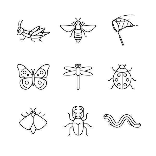 Insects thin  art icons set.