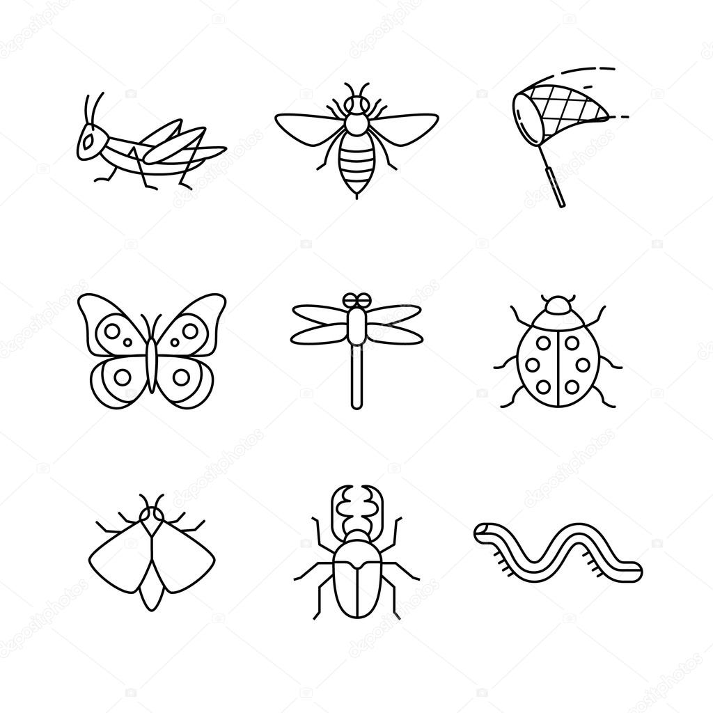 Insects thin  art icons set.