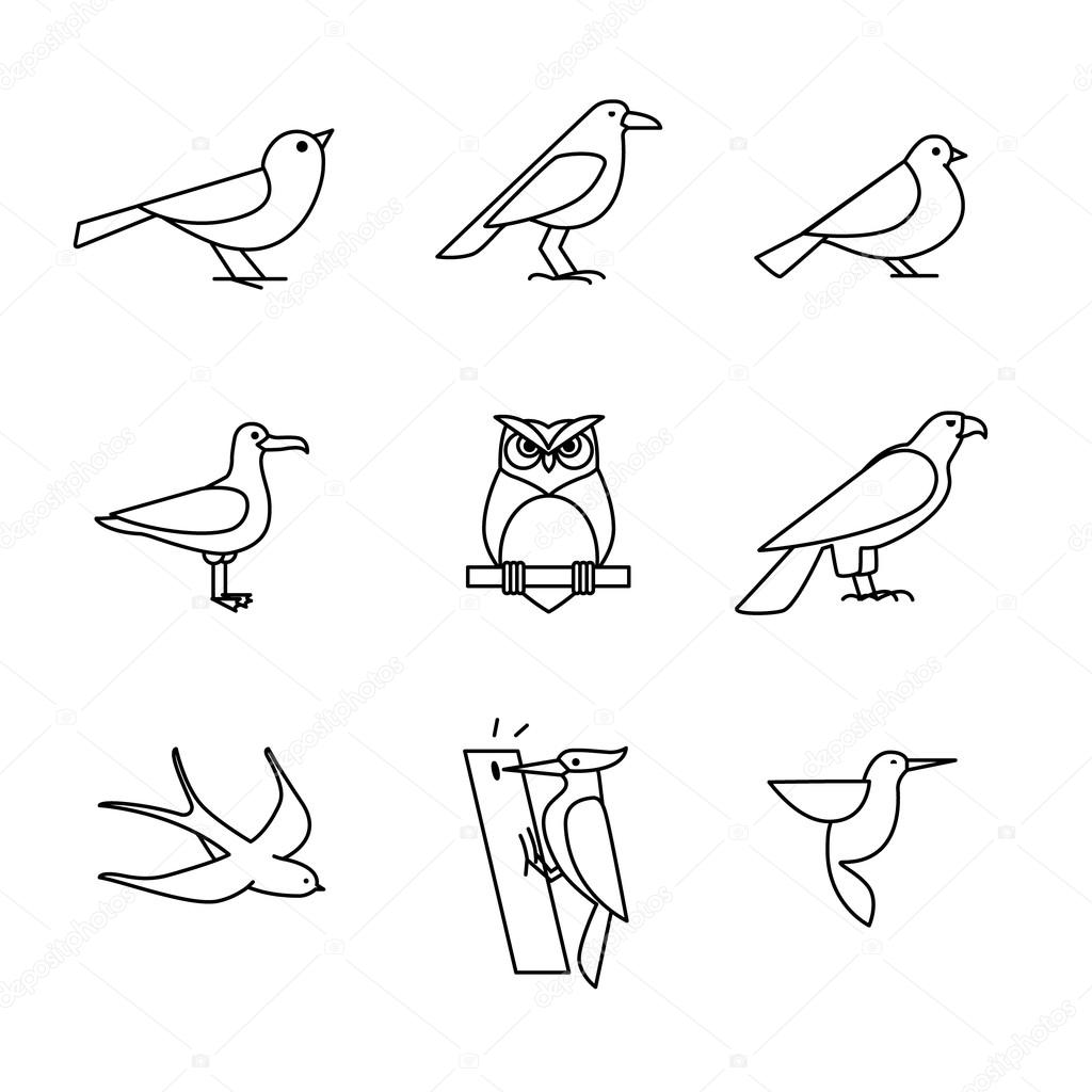 Birds icons line art set