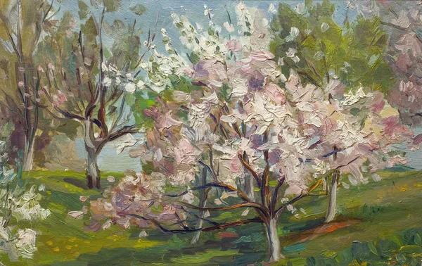 Beautiful Original Oil Painting Blooming tree On Canvas — Stock Photo, Image