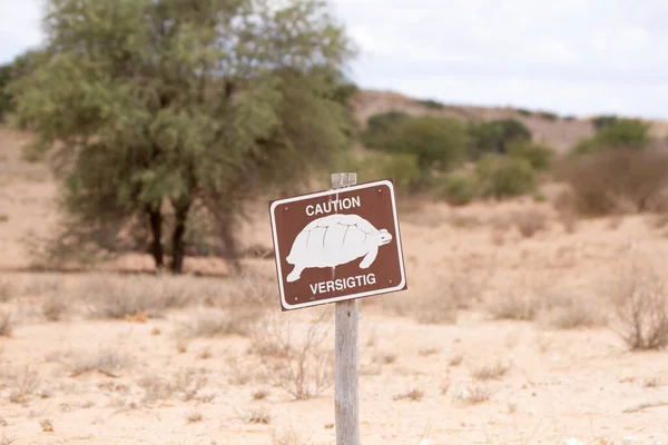 Kgalagadi National Park South Africa Warning Sign Aware Tortoises Crossing — 스톡 사진