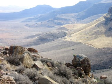 Güney Afrika yakınlarındaki kanola ve buğday tarlaları