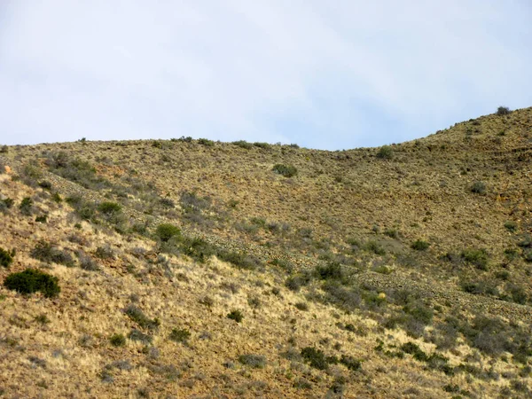 南非Beaufort West附近的Karoo国家公园 陡峭的Klipsringer山口景观 显示了支持柏油路的手工填塞的干墙 — 图库照片