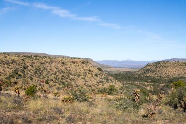Tepenin tepesinden Karoo çiftliğinin manzarası.