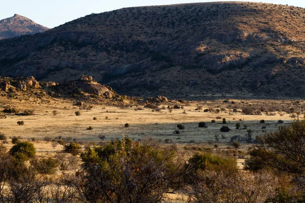 Mountain Zebra National Park Sydafrika Allmän Bild Landskapet Ger Uppfattning — Stockfoto