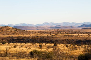 Zebra Dağı Ulusal Parkı, Güney Afrika: Topoğrafya ve veld tipi hakkında fikir veren manzaranın genel görünümü