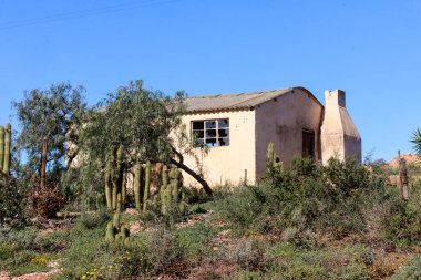 Terk edilmiş işçi evi. Güney Afrika 'nın derin kırsalında, Little Karoo' da.