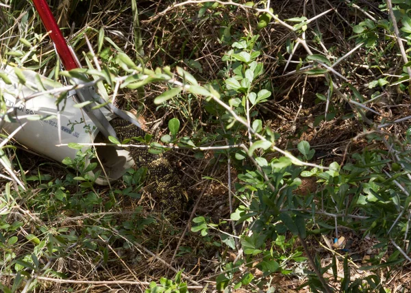 Addo Elephant国家公园 将化粪池装入一个安全的容器 — 图库照片