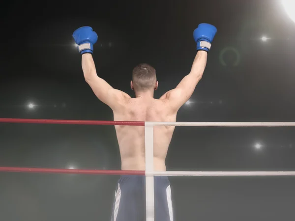 Young boxer with two hands up in the ring — Stock Photo, Image