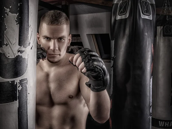 Mma fighter in gloves — Stock Photo, Image