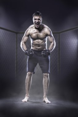 MMA savaşçı kafeste