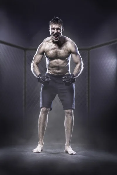 Chasseur MMA en cage — Photo