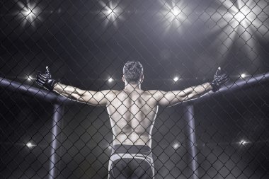 mma fighter in arena celebrating win, behind view clipart