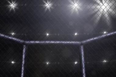 mma mücadele sahne yan görünüm ışıklar altında