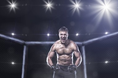 ultimate mma fighter in a octagon cage clipart