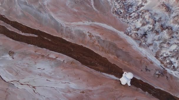 Astronaut loopt op een onbekende planeet. gevonden water.ontdekking van een nieuwe planeet — Stockvideo