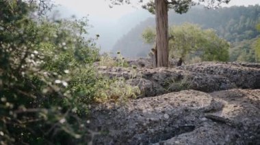 Güzel kanyon manzarası, dağlar. Güneşli bir gün. Resimli manzara..