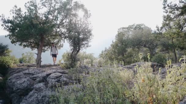 Voyageur homme marche sur les pierres sur la montagne, autour des arbres. — Video