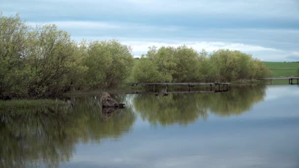 Leerer Fischteich Mit Holzpfeilern Ruhiges Wasser Bäume Wachsen Ufer Bewölkter — Stockvideo