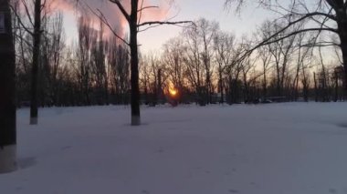 Akşam Kışları şehir parkı gün batımında yolun yanında. Parkta kar ve yapraksız ağaçlar var. Güneş ufukta batar, alacakaranlık çöker. Arabalar yol boyunca gidiyor.