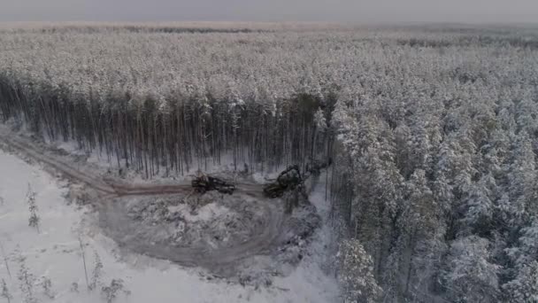 森林收割者和饲养者驱车进入冬季森林 多云的冬日 周围都是雪在附近锯树 收获者在树上伐木 — 图库视频影像