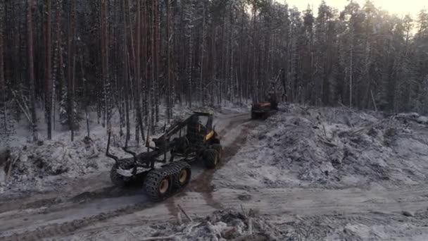 Orman Hasatçısı Forvet Kış Ormanlarına Doğru Yol Alıyor Bulutlu Bir — Stok video