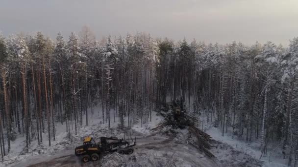 Colheitadeira Florestal Encaminhador Dirigem Para Floresta Inverno Dia Inverno Nublado — Vídeo de Stock