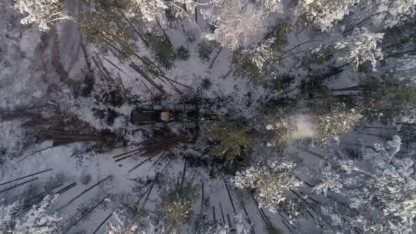 Top Uitzicht Vanuit Lucht Bosrooier Het Winterbos Oogstmachine Die Bomen — Stockvideo