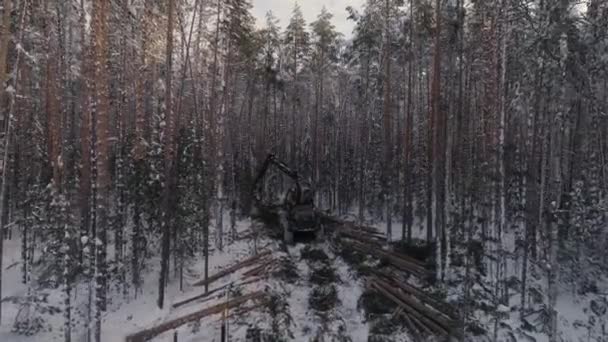 Drone Uitzicht Bos Oogstmachine Actie Het Winterbos Oogstmachine Die Een — Stockvideo