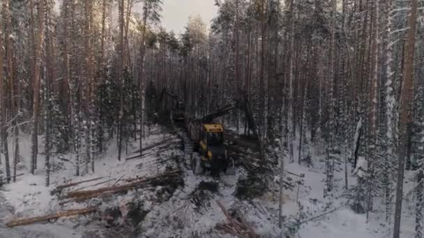 Luchtfoto Van Forest Forwarder Oogstmachine Het Winterbos Forwarder Stapelt Boomstammen — Stockvideo