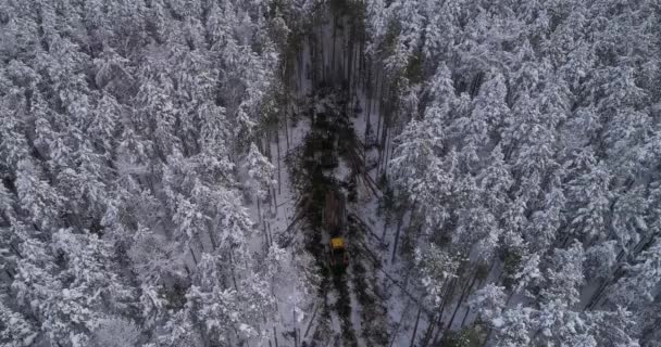 Vue Aérienne Moissonneuse Batteuse Forestière Transitaire Travail Dans Forêt Hiver — Video