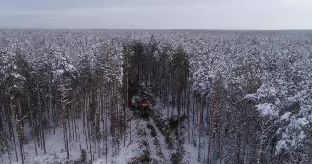 Повітряний Вид Лісовий Комбайн Експедитор Роботі Зимовий Ліс Сонячний Зимовий — стокове відео