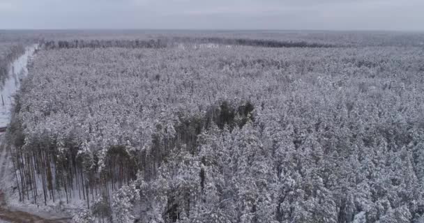 Vue Aérienne Moissonneuse Batteuse Forestière Transitaire Travail Dans Forêt Hiver — Video