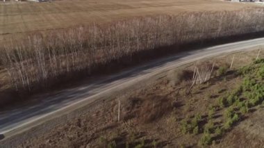 Yol boyunca beyaz otobüs ve arabaların hava manzarası devam ediyor. Bahar güneşli bir gün. Yolun solunda yaprakları ve tarlası olmayan huş ağaçları var. Elektrik direkleri ve küçük çam ağaçları olan bir alan.