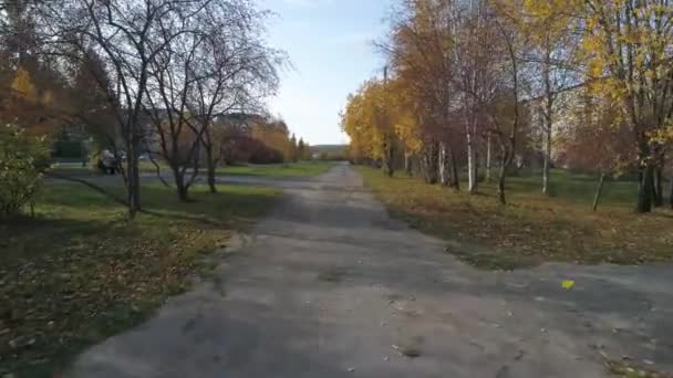 Vue Drone Ruelle Avec Des Arbres Dans Ville Automne Provinciale — Video