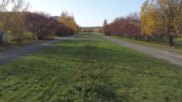 Drone Vista Del Parque Con Árboles Hierba Ciudad Provincial Otoño — Vídeos de Stock