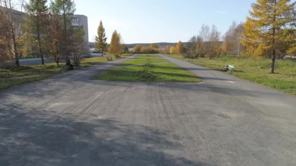 Vue Drone Parc Avec Des Arbres Herbe Dans Ville Automne — Video