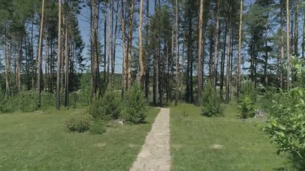 Drone View Path Stones Trees Grass Edges Trail Leads River — Vídeos de Stock