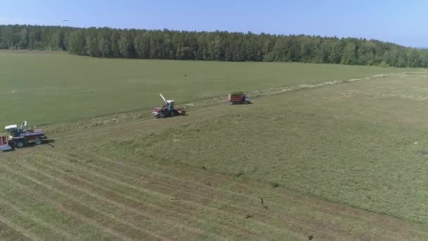 Aerial Drone Melihat Combines Lapangan Truk Dengan Rumput Sekumpulan Burung — Stok Video