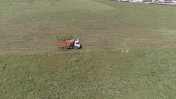 Luftaufnahme Eines Lastwagens Voller Gras Fährt Über Das Feld Gibt — Stockvideo