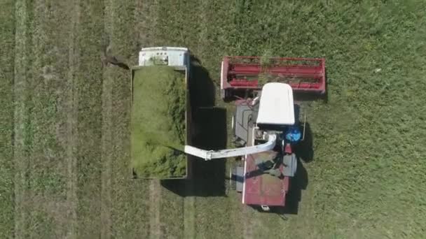 Visão Aérea Cima Para Baixo Colheita Combine Campo Colheitadeira Colocar — Vídeo de Stock