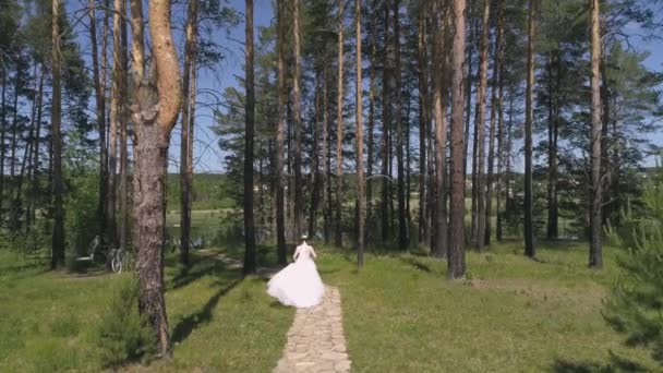 新郎新婦の空中ビューは 川に向かって木々の間の森の中のパスに沿って歩いている 海岸では結婚式のアーチを持つ桟橋 夏の晴れた日 — ストック動画
