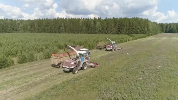 2つの空中ビューの組み合わせは 芝生のフィールドで収穫 収穫者はトラックやトラクターに干し草を置きます 収穫者は干し草の収穫を集める 森と松の近く — ストック動画