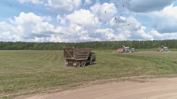 トラックのドローンビューは フィールド全体を走行しており 収穫機に近づいています 鳥の群れが飛ぶ 森の近く — ストック動画